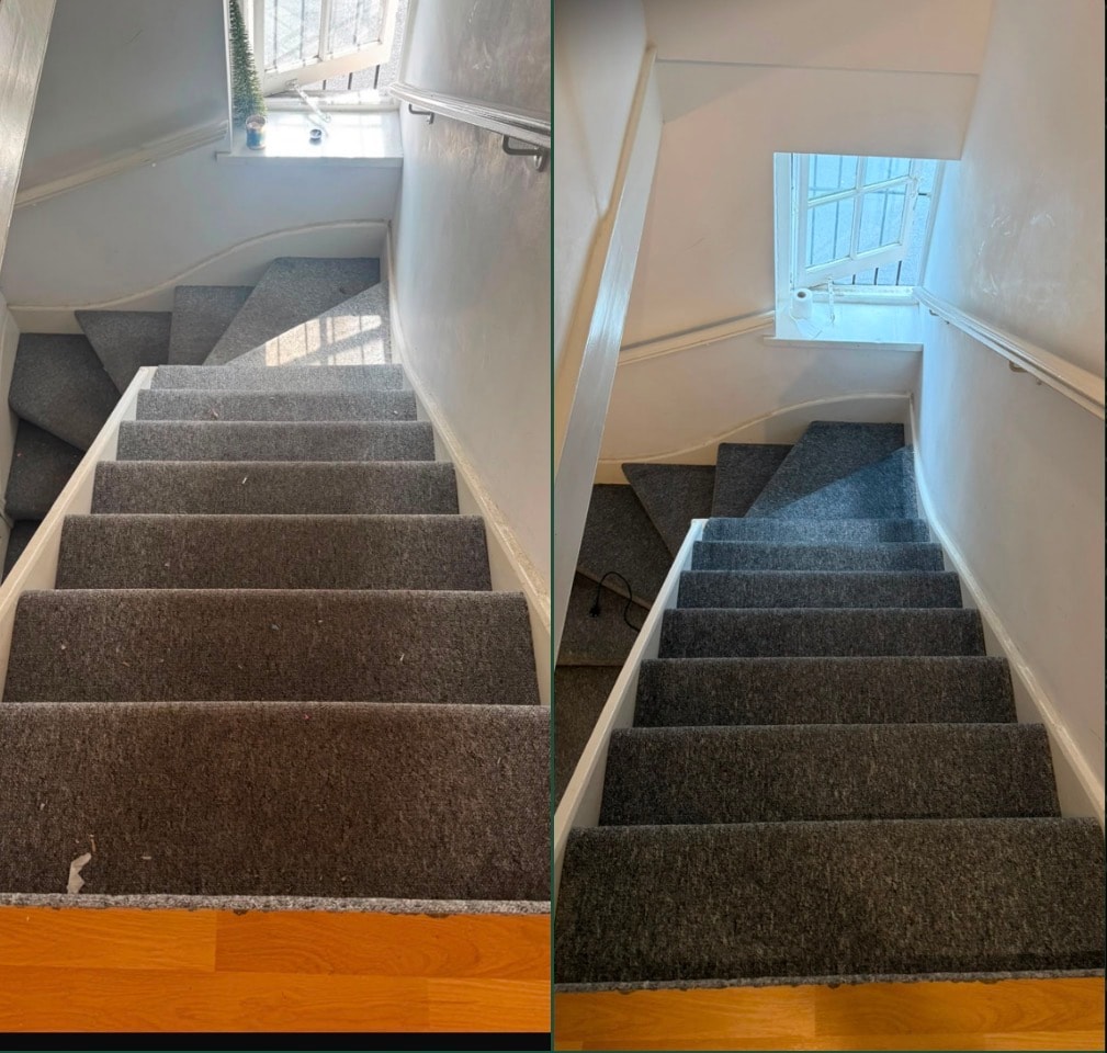 Bedroom carpet refresh — traffic marks lifted