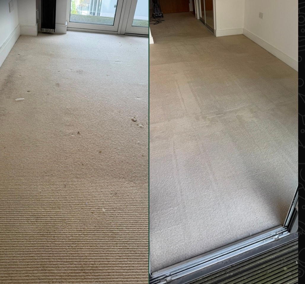Lounge carpet deep clean — debris & soiling removed