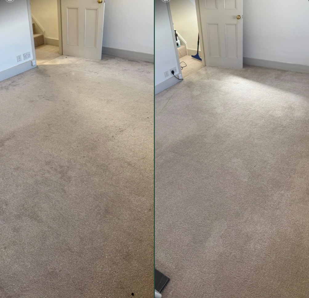 Reception room carpet restoration — heavy soiling treated