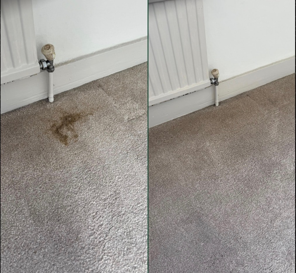 Stain extraction — heavily soiled patch fully removed